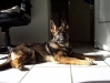 Bella Luna Kiridesja 18 wkn